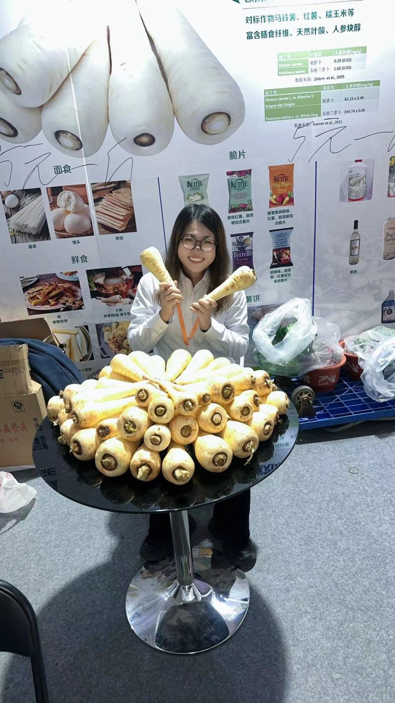 欧防风萝卜
