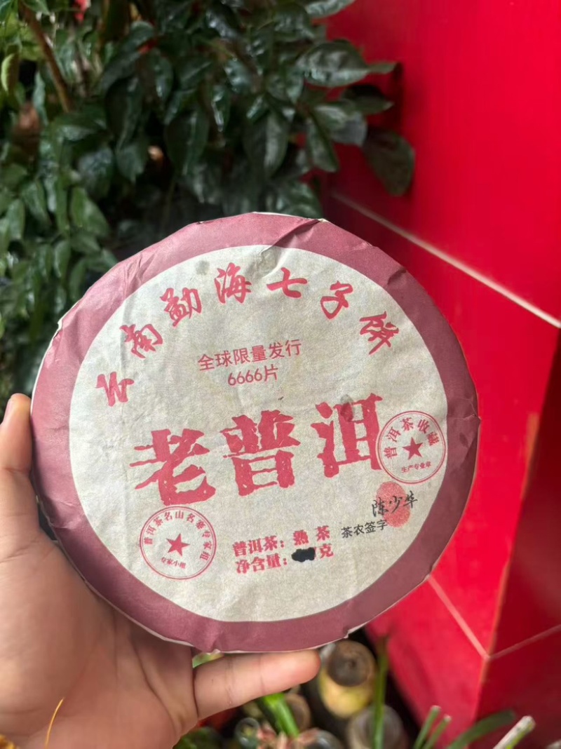 工厂直销普洱熟茶茶饼品质保证全国发货
