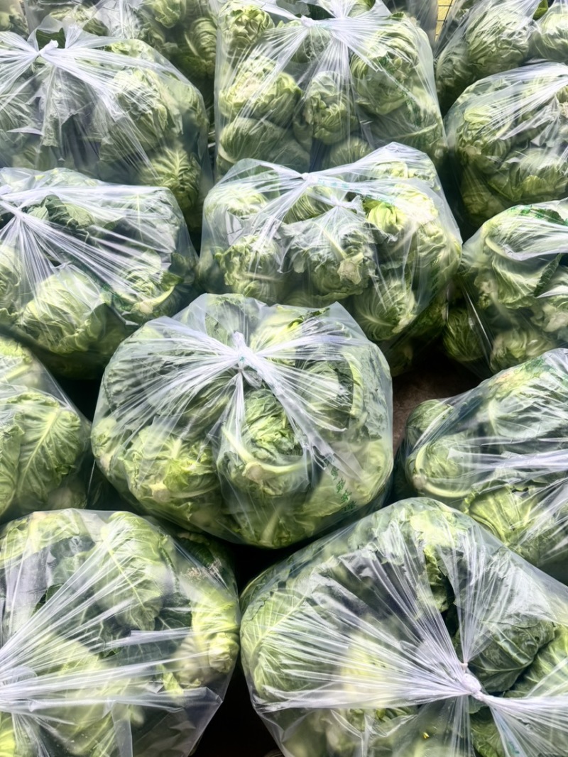 牛心甘蓝精品牛心菜，一手货源价格实惠量大优惠