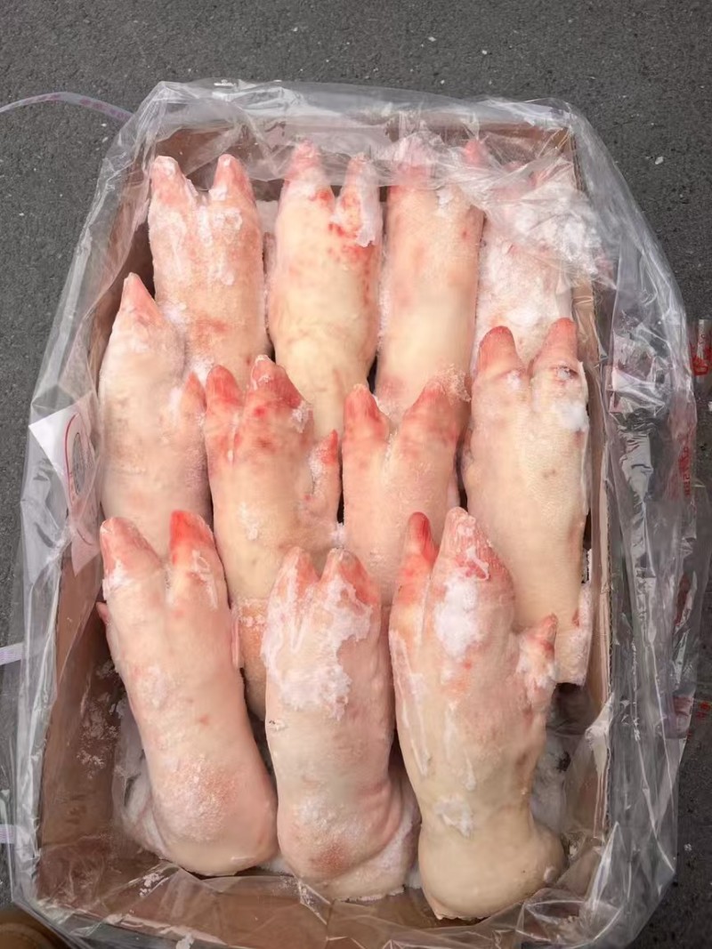 母猪蹄