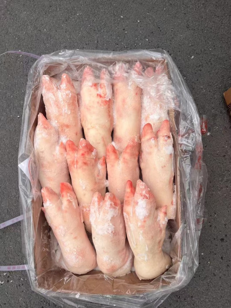 母猪蹄