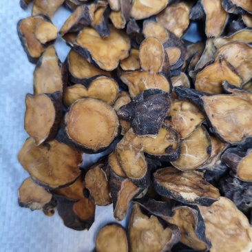 香附附片