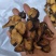 香附附片