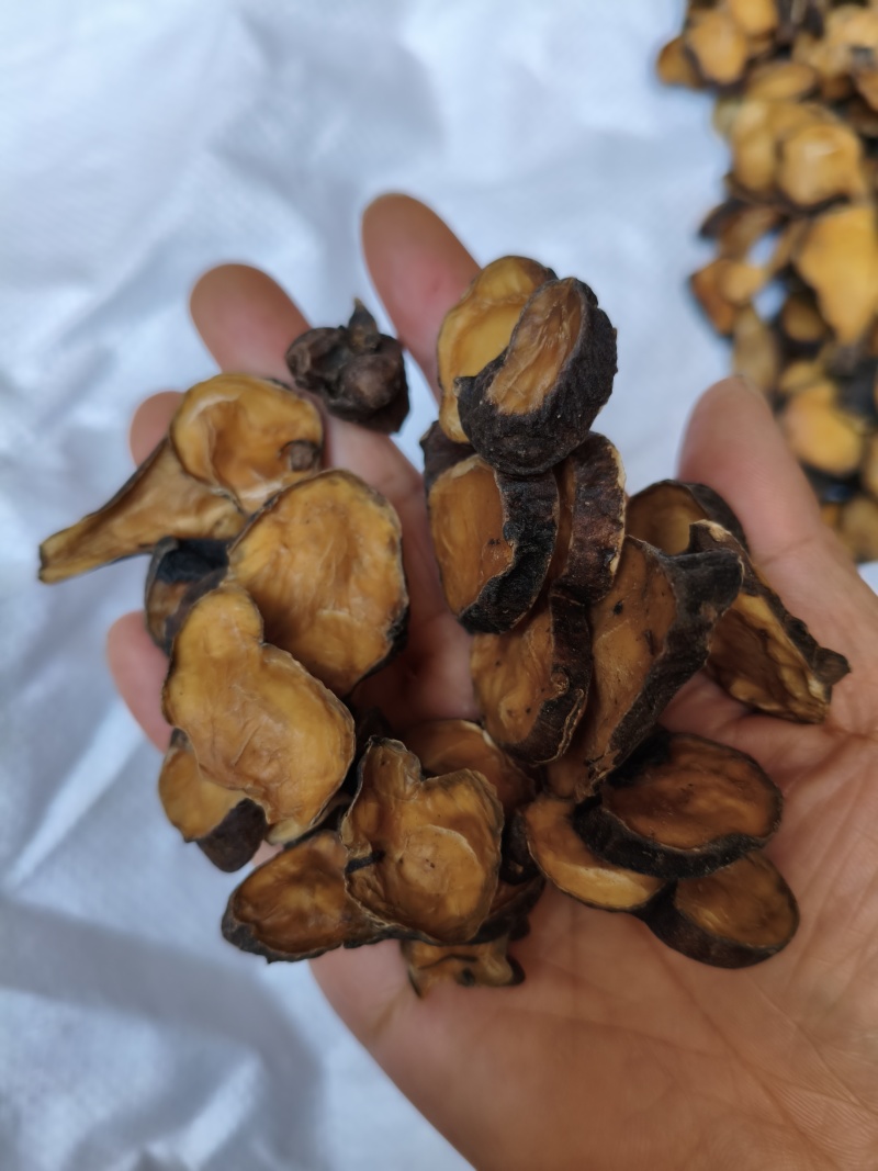 香附附片