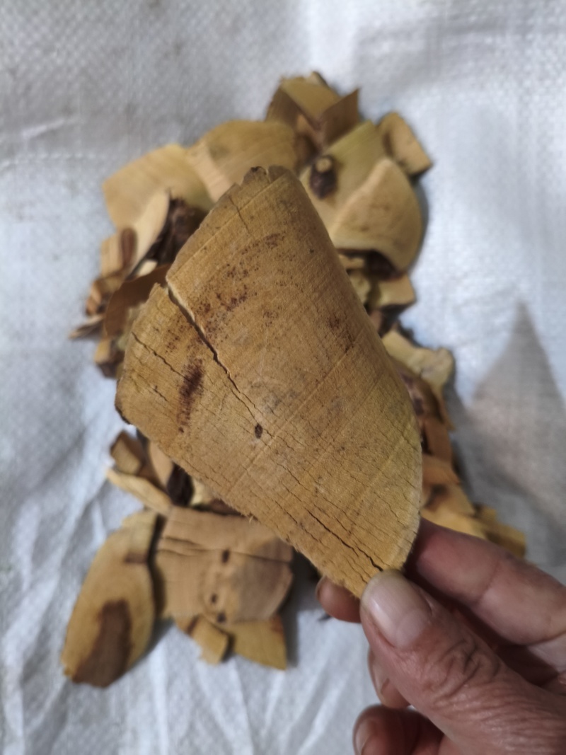 铁包金
