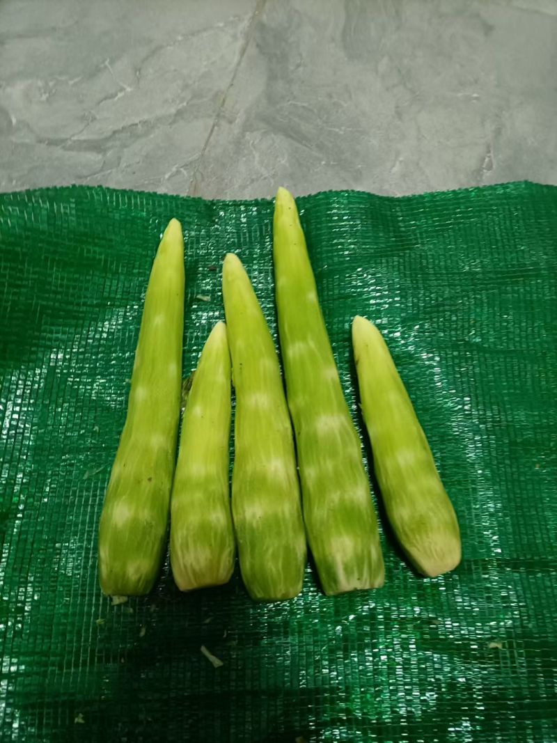 湖北一手货源窝笋对接全国量大从优欢迎询价热卖中
