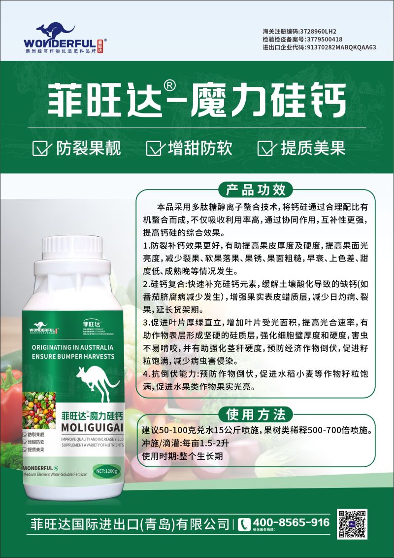 硅钙镁