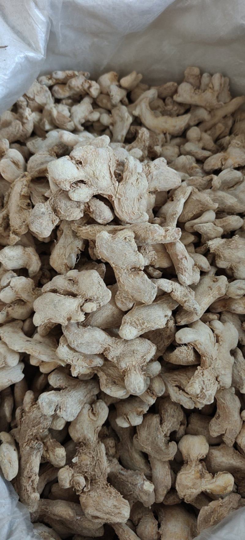 干姜粉干姜可打粉新货关书药业批发中药材