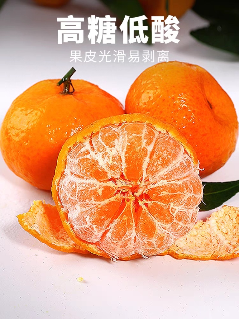 精选金秋砂糖橘皮薄多汁供应商超社区团购市场档口