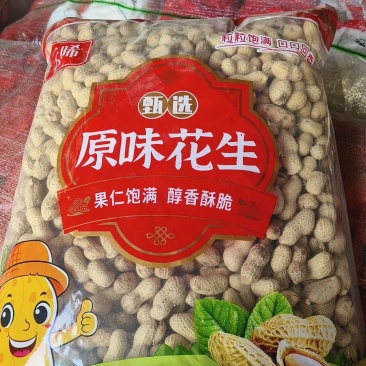 大名县海花原味干炒花生精选熟花生带壳熟花生