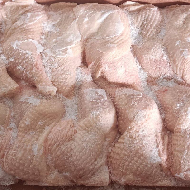 种母鸡排腿