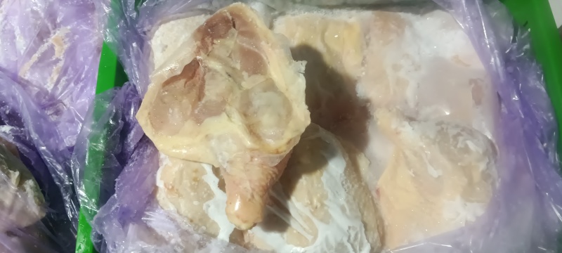 种母鸡排腿