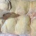 种母鸡排腿
