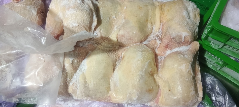 种母鸡排腿