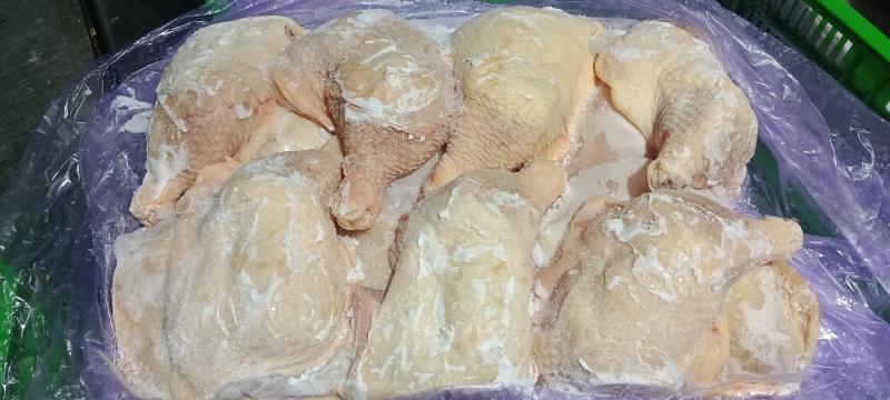 种母鸡排腿