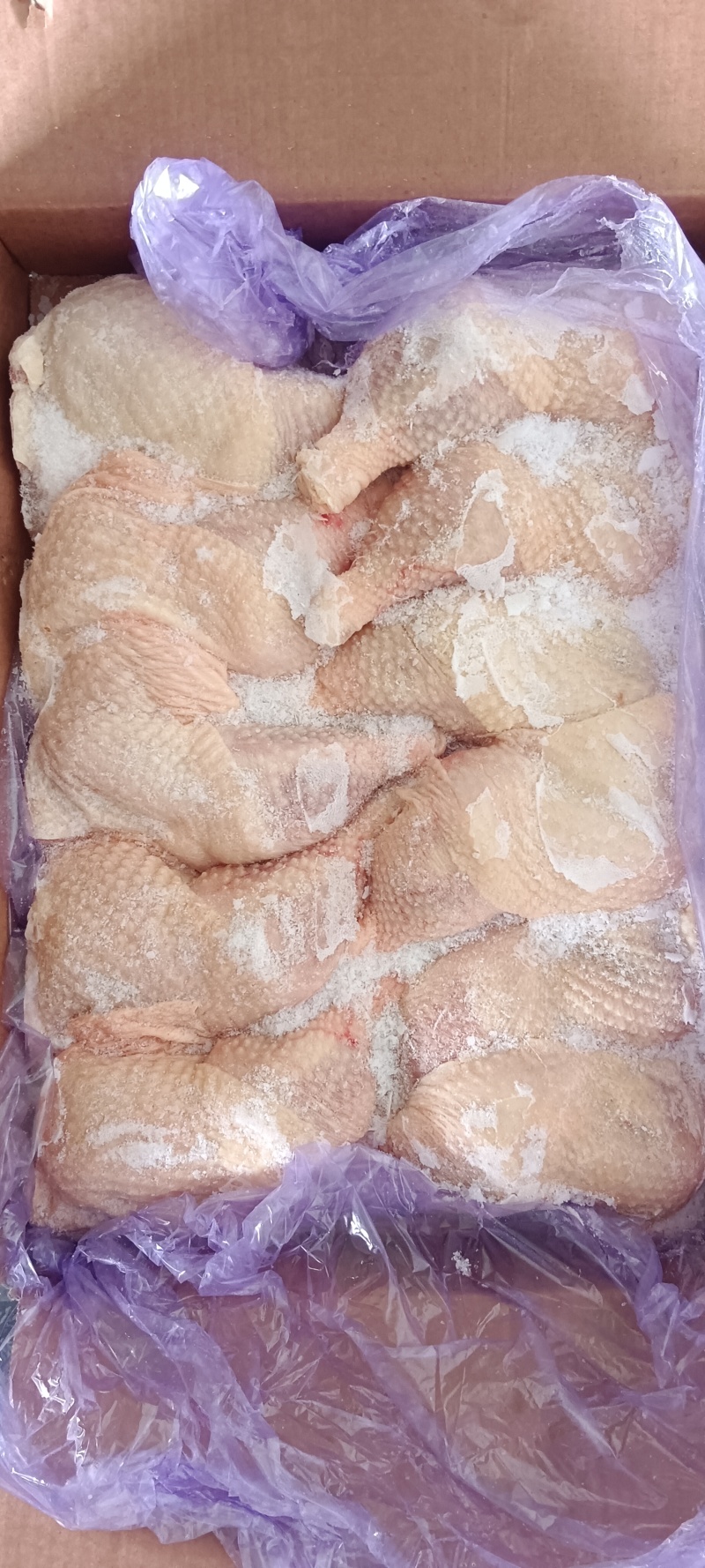 种母鸡排腿