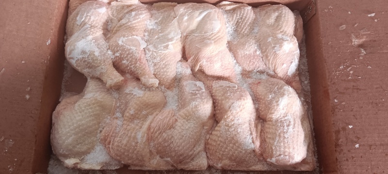 种母鸡排腿