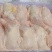 种母鸡排腿