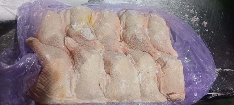 种母鸡排腿