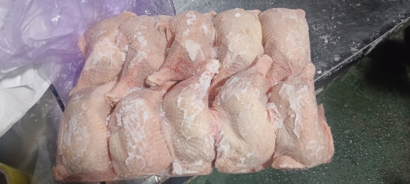 种母鸡排腿