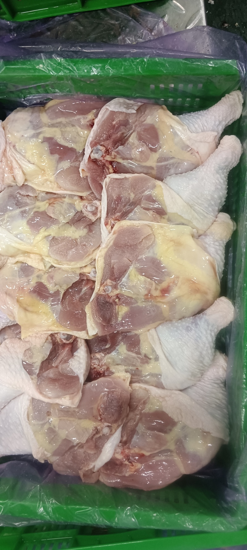种母鸡排腿
