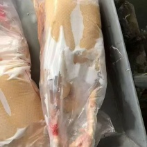 黄皮鸭全净膛各规格齐全工厂直发手续齐全