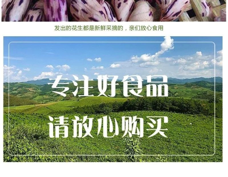 2025年新货正宗云南七彩花生原味花生带壳新鲜晒干