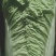 山西忻州大白菜