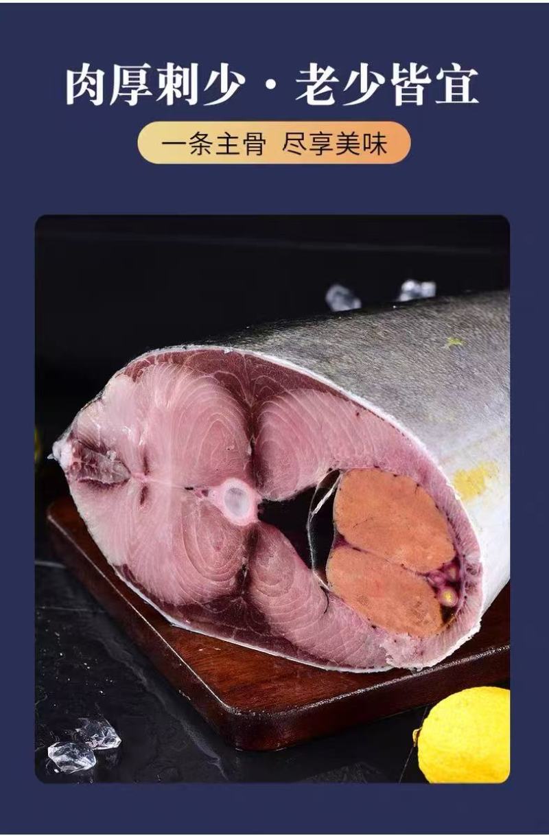 黄金鲅鱼，鲜度好，黄金鲅鱼，大鲅鱼，每条15—20斤
