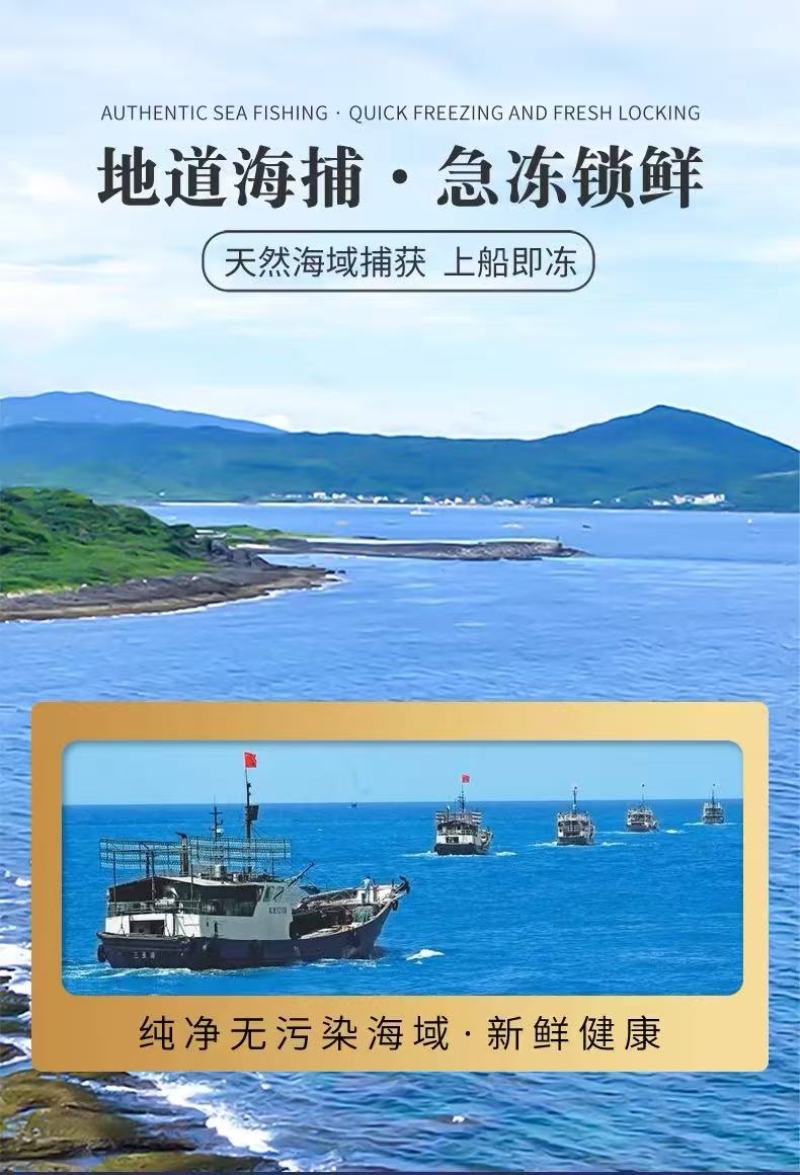 黄金鲅鱼，鲜度好，黄金鲅鱼，大鲅鱼，每条15—20斤