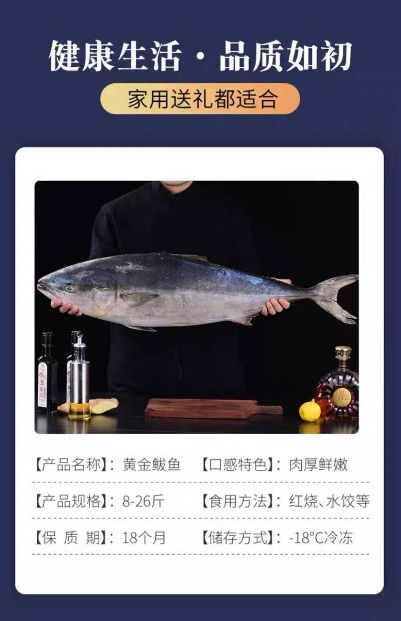 黄金鲅鱼，鲜度好，黄金鲅鱼，大鲅鱼，每条15—20斤