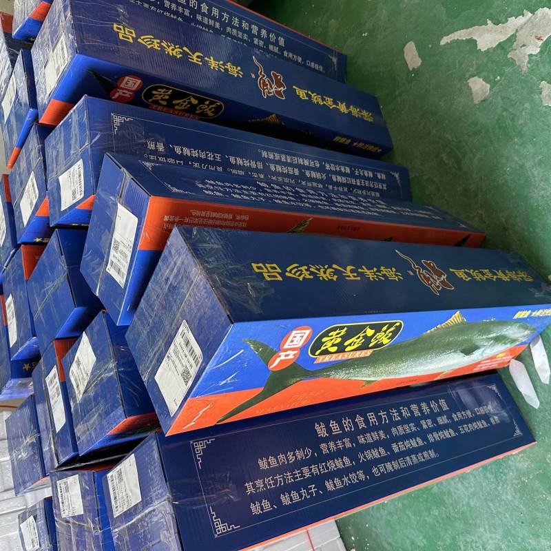 黄金鲅鱼礼盒发货批发价格出售