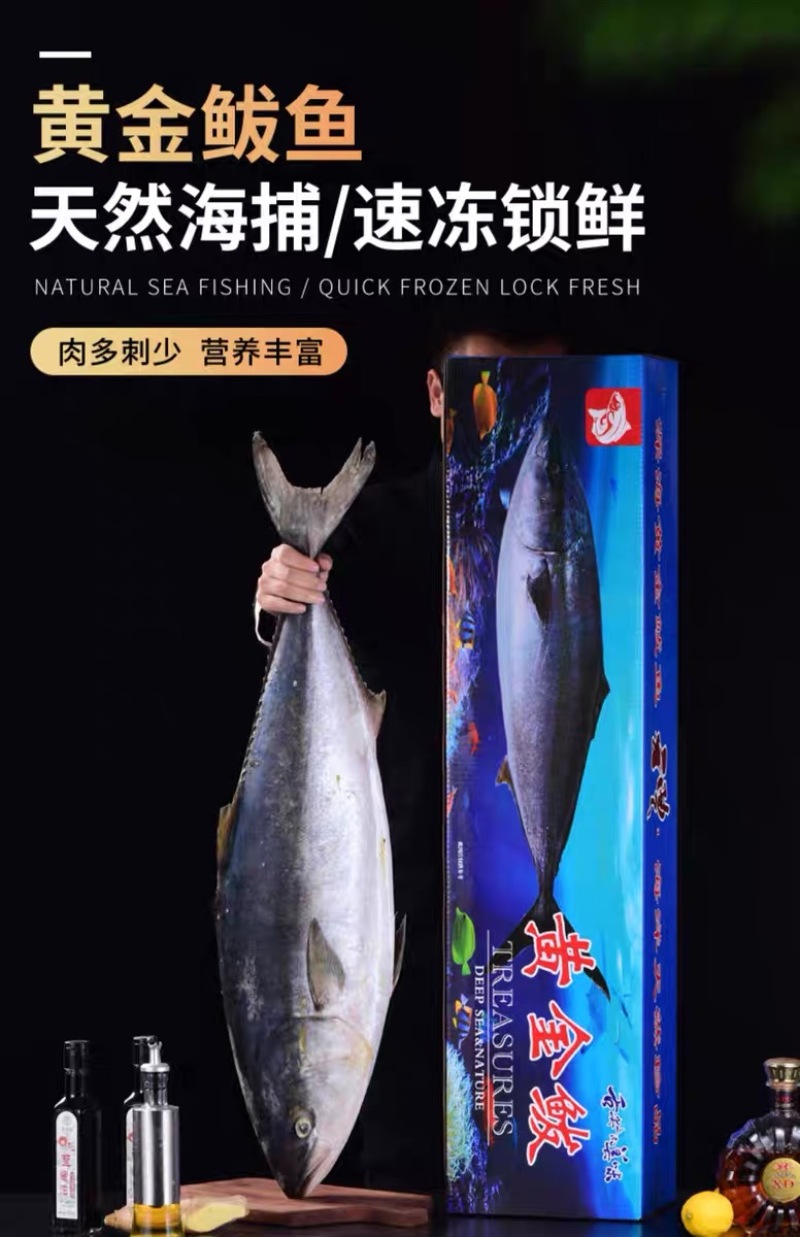 黄金鲅鱼礼盒发货批发价格出售