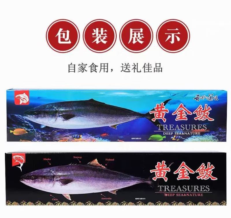 黄金大鲅鱼批发价深海直供黄金鲅鱼！一口鲜到上头