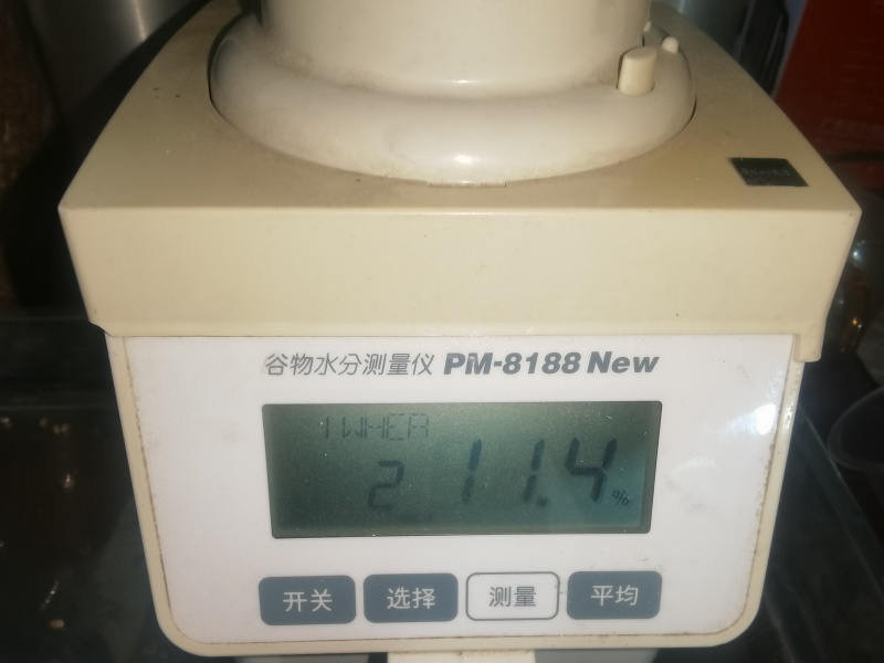 龙麦6011.4水分814容重1000吨