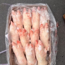 母猪蹄