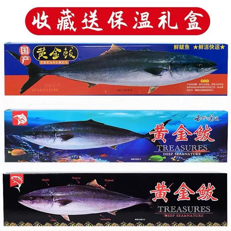 大鲅鱼，黄金鲅鱼，各种规格型号均可批发，冷链到家