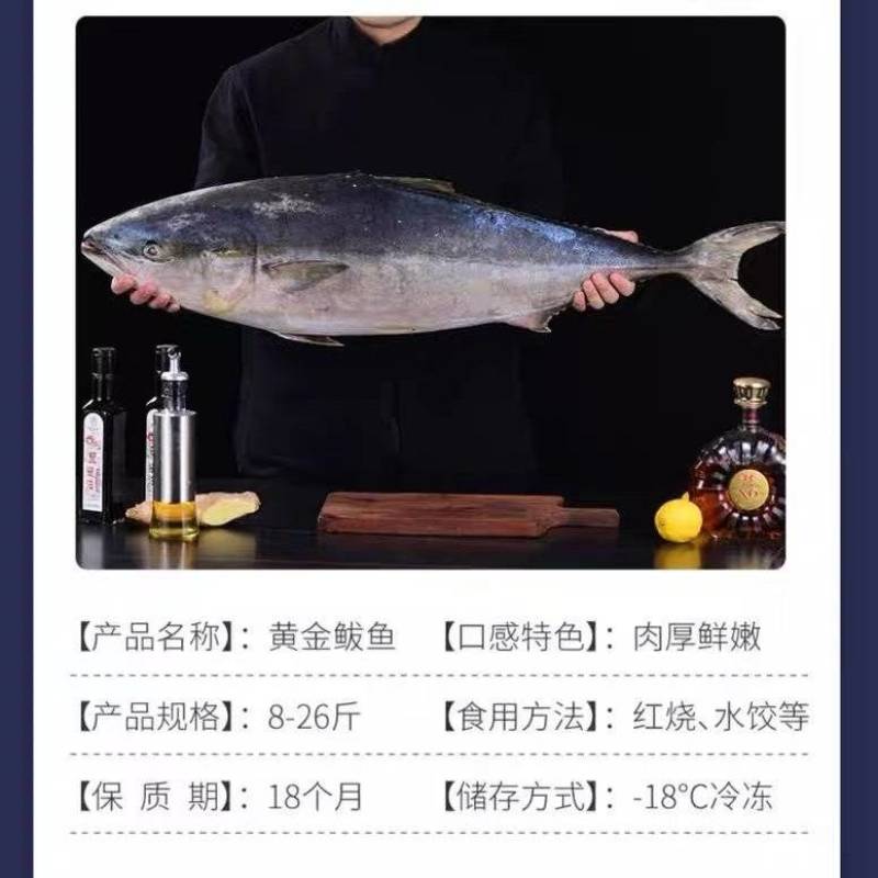 深海直供黄金鲅鱼！厂家直供，批发价，量大优惠支持一件代发