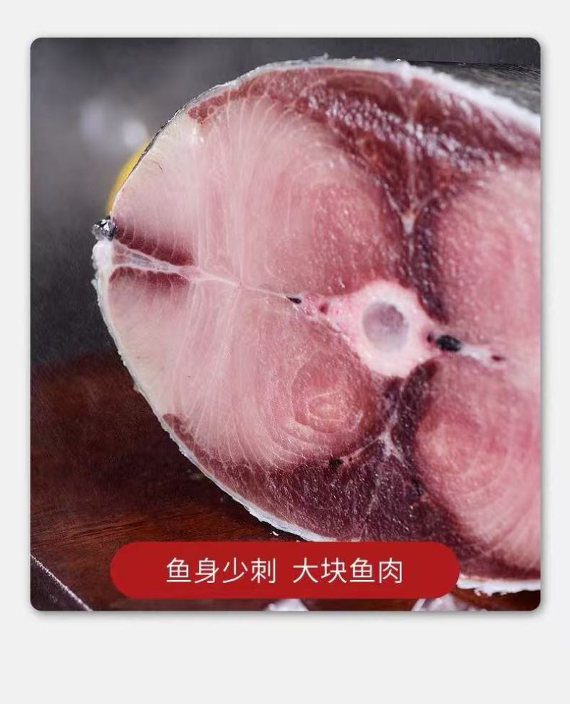 深海直供黄金鲅鱼！厂家直供，批发价，量大优惠支持一件代发
