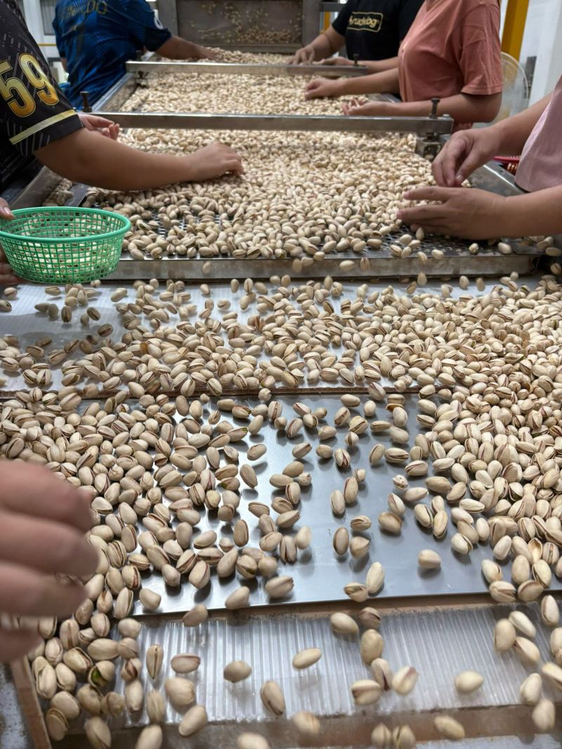 高品质开心果，出售，电商福利