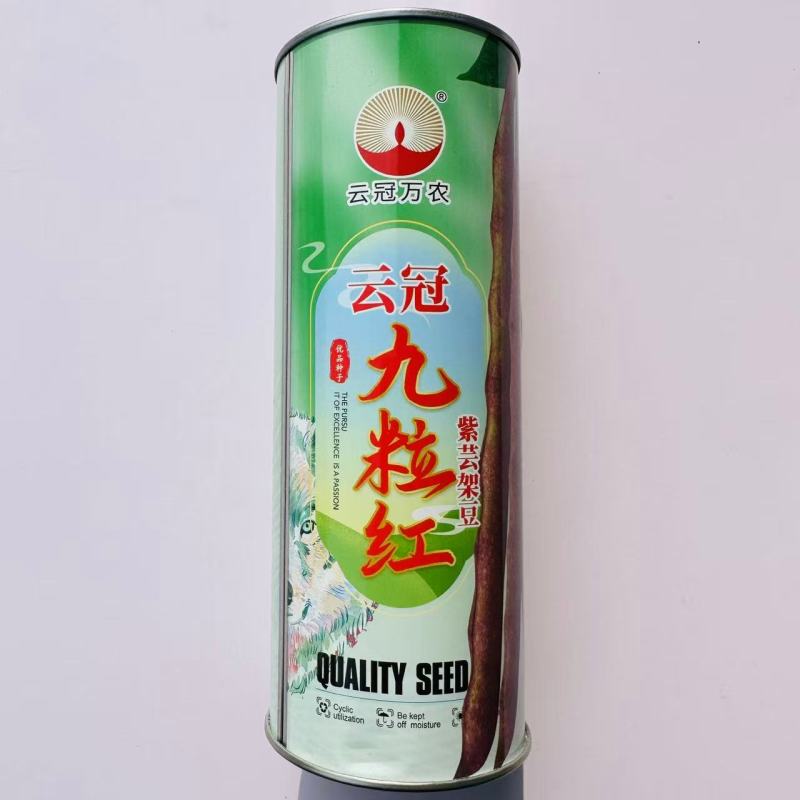 云冠九粒红紫芸架豆种子蔓生荚嫩无纤维肉厚抗病强产量高春秋