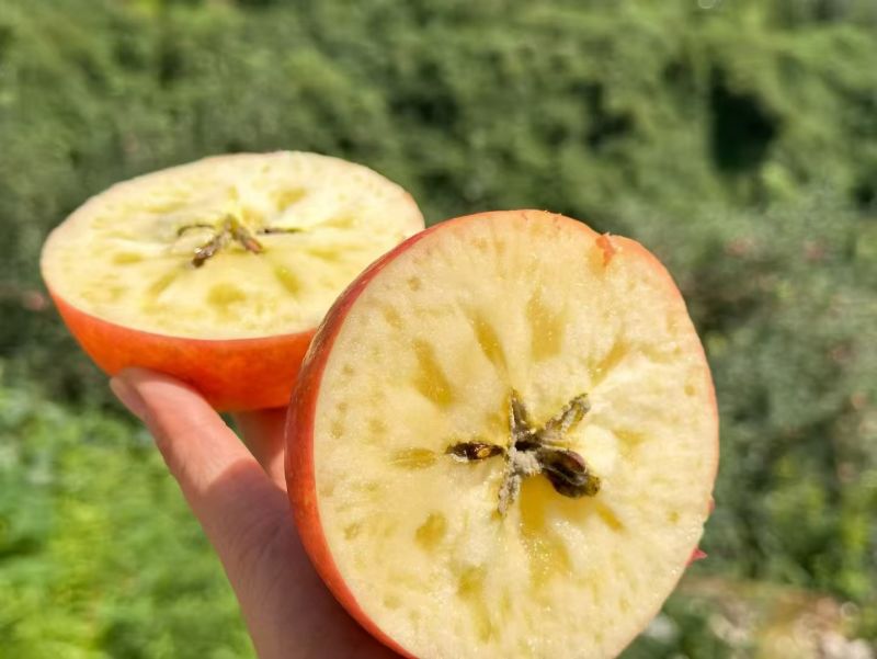糖心苹果