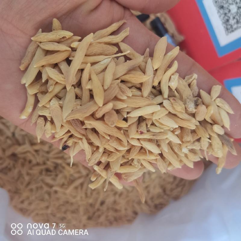 麦冬规格齐全无硫磺熏蒸自然晾晒的到地药材