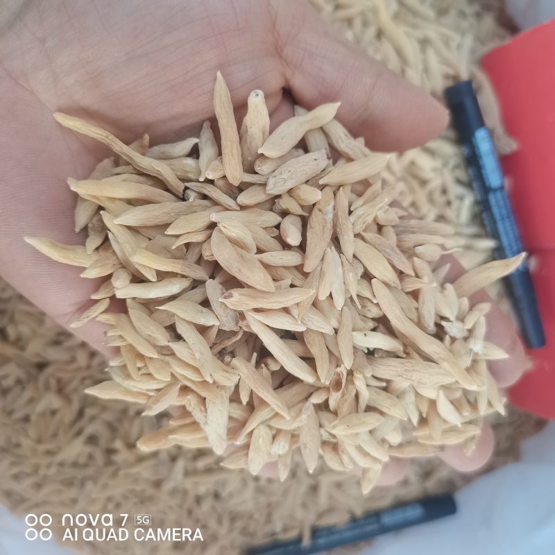 麦冬规格齐全无硫磺熏蒸自然晾晒的到地药材