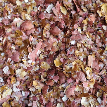 花生红衣大量有货基地直供品质优可视频看货热卖中
