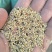 养殖用杂粮