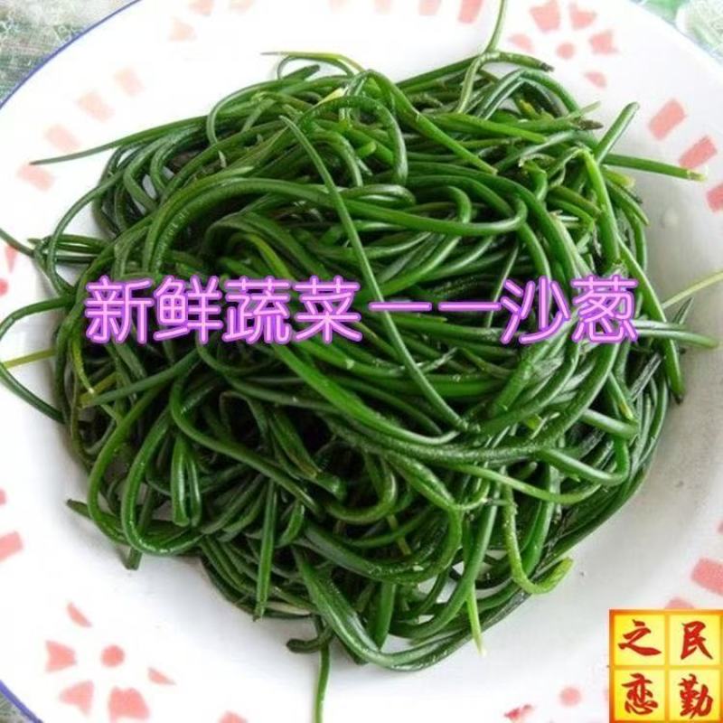 《沙葱》甘肃基地直发对接全国量大从优售后无忧