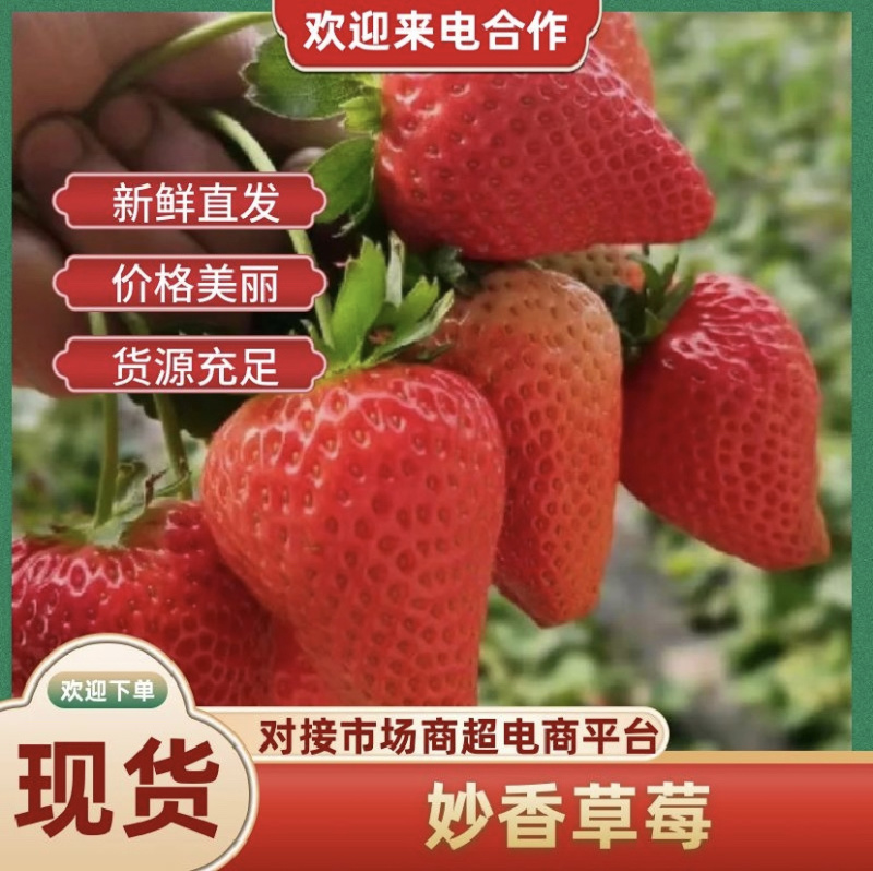奶油草莓，产地直发，量大从优，对接市场电商平台