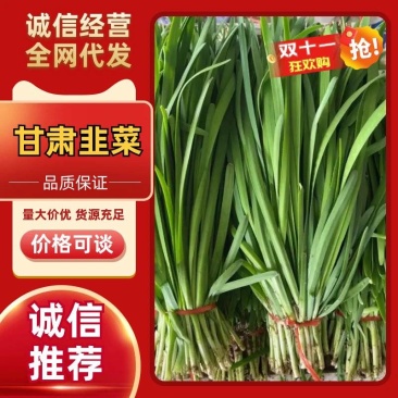 韭菜甘肃民勤沙漠大棚恒温韭菜大叶粗杆韭菜