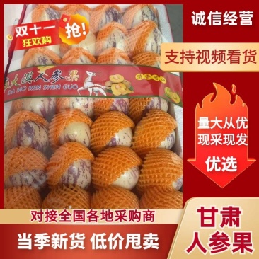 民勤人参果精品包装大果包邮含糖量低老少皆宜